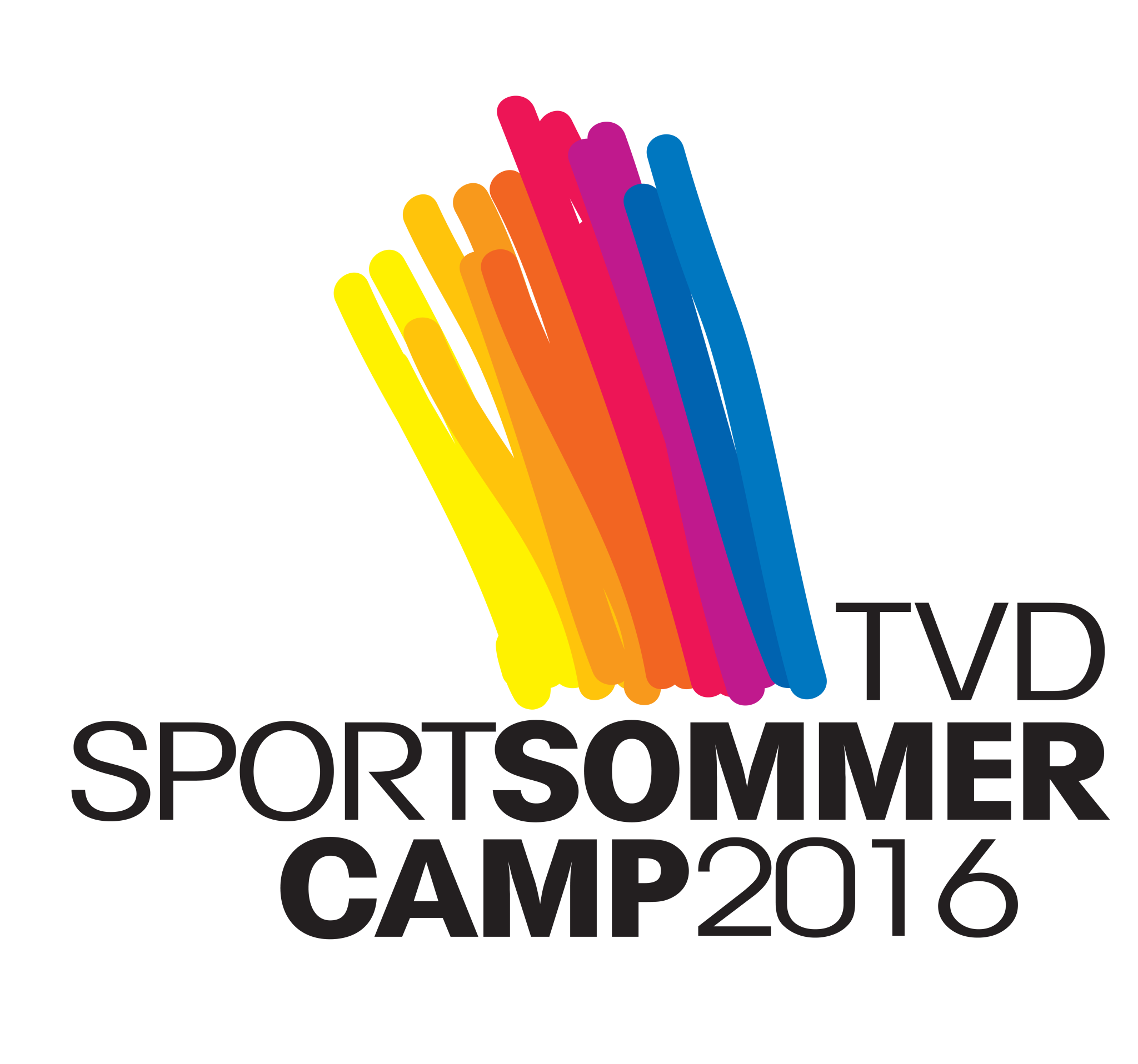 flyer-tvd-sommercamp-2016_1a